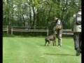 komarom08sito.wmv