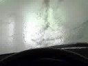 A tree at the car wash