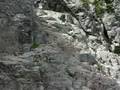 Vertical Climb Up Haystack at Mount Si