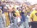 Rebel.- soy de pumas desde que estaba en la cuna