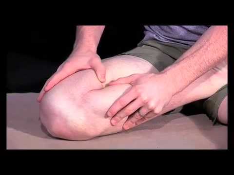 Working with the knee in lotus – with David Keil Yoga Anatomy