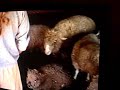 amazing-child-singer-6-yr-old-singing-the-greatest-love-of-all.html