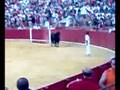 Recorte contra las tablas Vaquillas