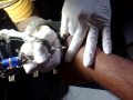 eye of Ra in the making