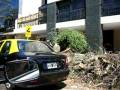 videos de Recoleccion de arboles 2