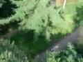 Go Ape - Neil filming himself across a higher zip line