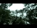 Hurricane Gustav