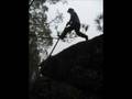 Salto Del Pastor Canario - TAMARAN