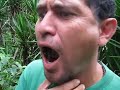 Manolo Tacuba 2