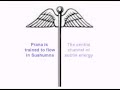 Kundalini Awakening in Yoga Meditation