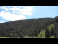 Deep in the woods