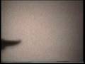 clip video Juliette Gr�co Un Petit Poisson Un Petit Oiseau