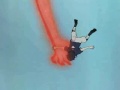 naruto~carousel