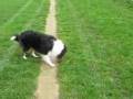 20081112_DeDrieBoefjes-1