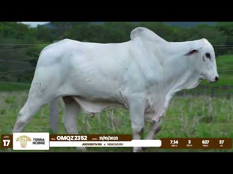 1� De Olho na Fazenda - Terra Nobre