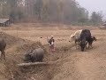 Pai, Northern Thailand