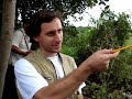 Ilopango, LLano Verde