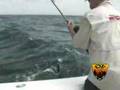Now that is offshore fishing for Wahoo - www.CSEoutdoors.com