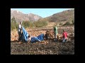 Raking Leaves