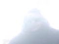 Hosam matrix