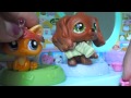 Click here to watch this video LPS Jessie Episode 2, Part 2