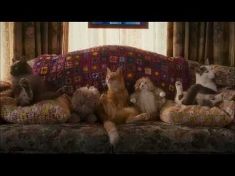 Catnip Scene (Cats and Dogs II - Revenge of Kitty Galore)