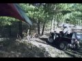 Grizzly Kingquad Hillclimb 2