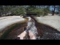 The Kern River Slides with the Wolf Pack - YouTube