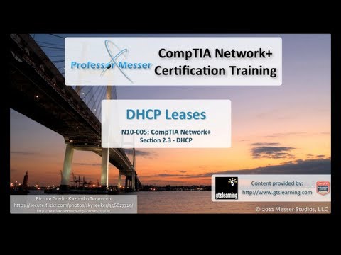 how to obtain dhcp lease