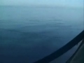 In Ricordo di Sara e Francesca (2) - VIAGGIO DA Anzio ALL'ISOLA DI PONZA