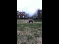 Longboarding Fail 1
