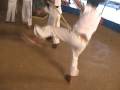 Capoeira na Promove - Vila Penteado