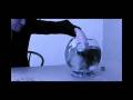 videos de ws 30 Roncalli Mavo3B