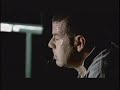 TSE - abelha