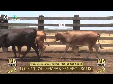 518 LEILO VIRTUAL MB LEILES