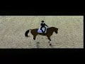 Isabell Werth und Apache Aachen 2007 Isabell Werth und Apache Aachen 2007