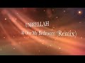 All Over My Bedroom (Unbrellah Dubstep Remix)