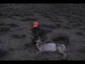 videos de antelope vs 300wsm part 3