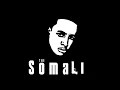 Nas - Thugs Manion Ft 2pac(Sool Mix)