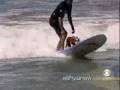 Cão Surfista