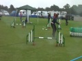Watford Agility Show