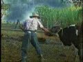 Como te explico