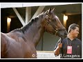 Barbaro Tribute