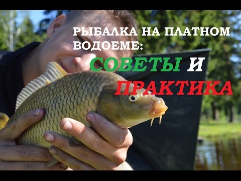 платная рыбалка в денди платная рыбалка в денди