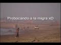 la migra   tijuana 4 kilates   hecho en méxico
