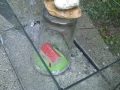 Waterkoepel