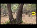 videos de TA20551 (parte de Tube-Adventures 2)
