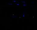 Tiesto in Concert-Pyramide Vienna 2007-06-29