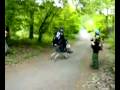 videos de Taczka Runners 002