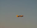 Lot of traffic in our field